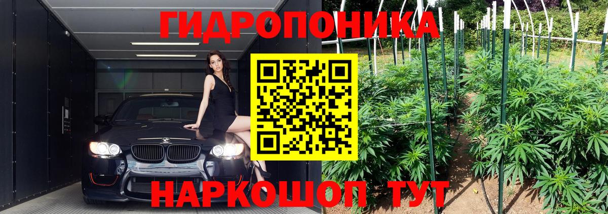 Бошки марихуана план  Шишки марихуана Amnesia  Сегежа  Марихуана Amnesia  Вход с VPN  Бошки марихуана LSD WEED 